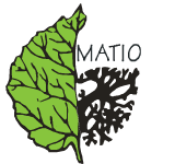 logo MATIO
